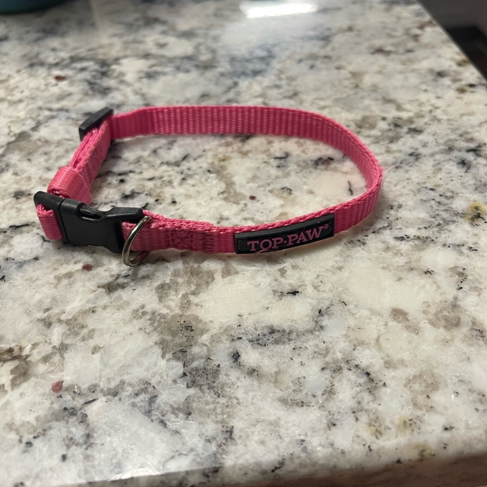 Dog accessories